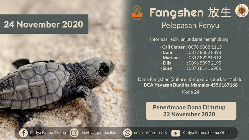 FANGSHEN 2020