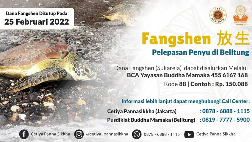 FANGSHEN 2022
