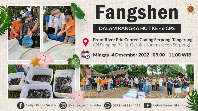 FANGSHEN 4 DES 2022