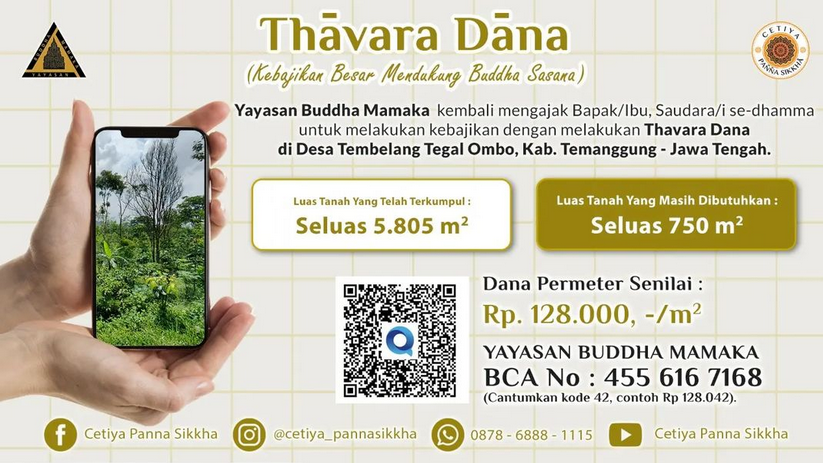 THAVARA DANA II 2022