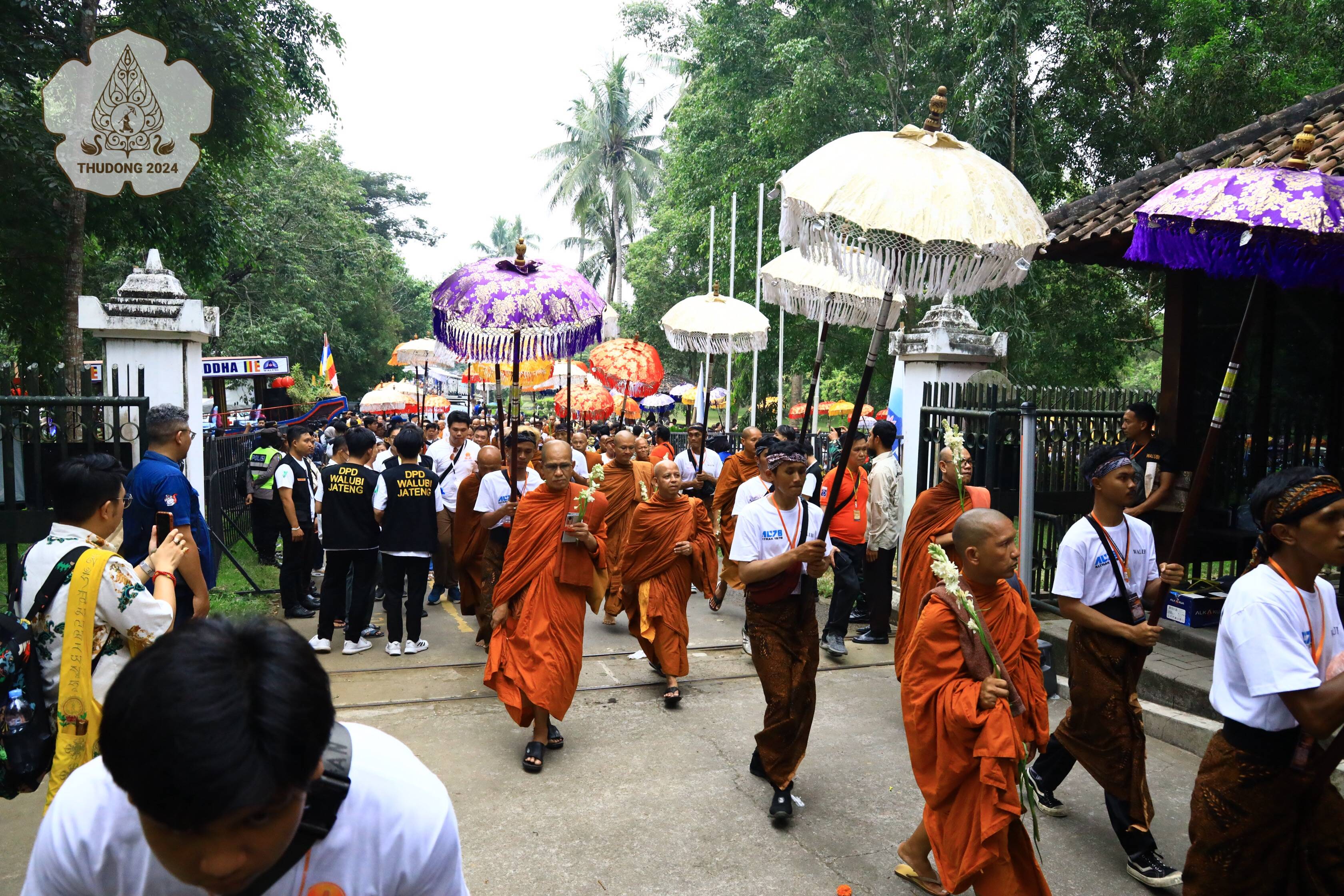 PAWAI (51) PAWAI (51)